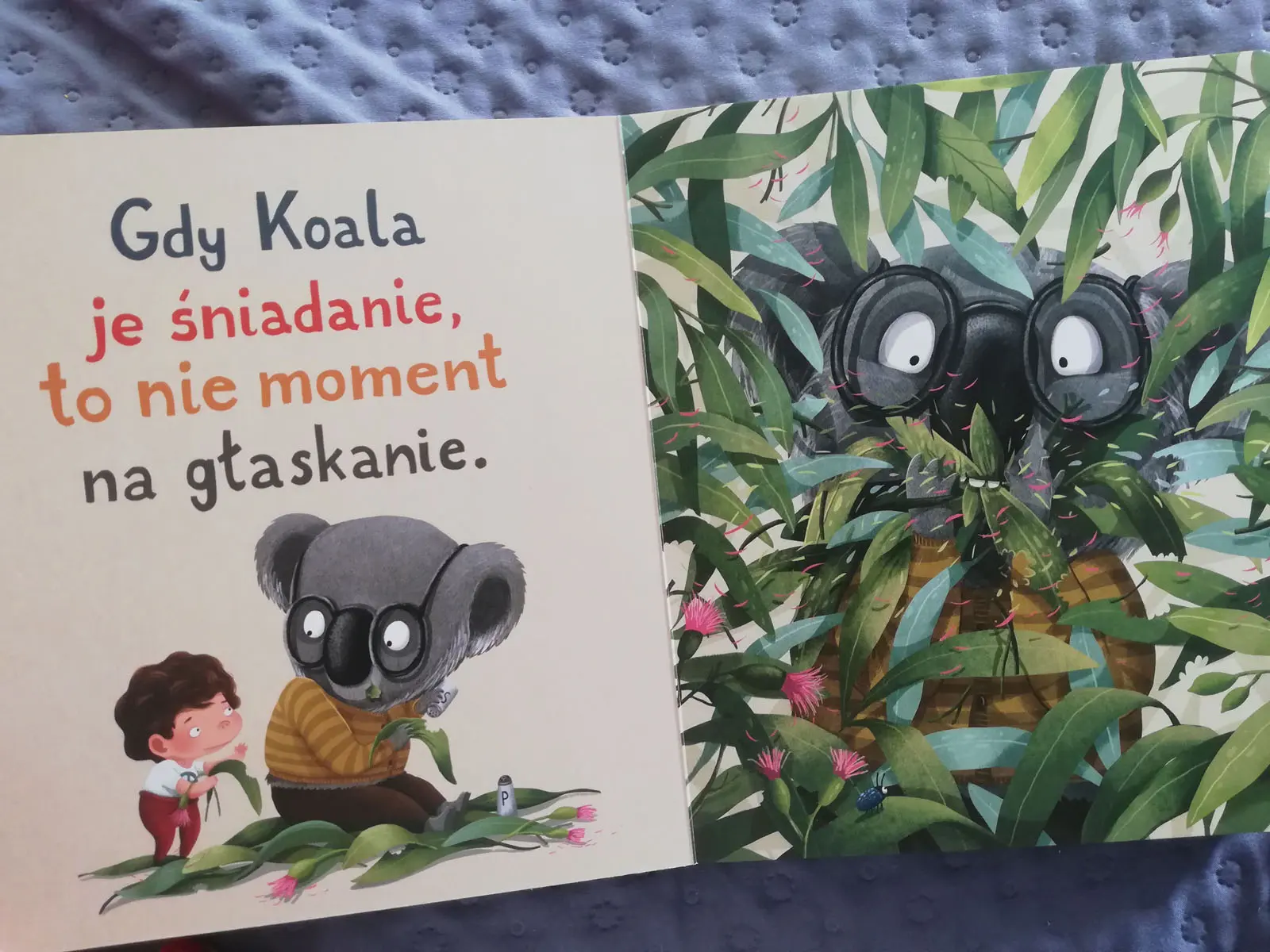 Koala nie pozwala