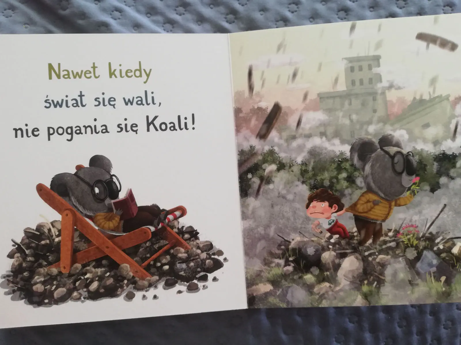 Koala nie pozwala