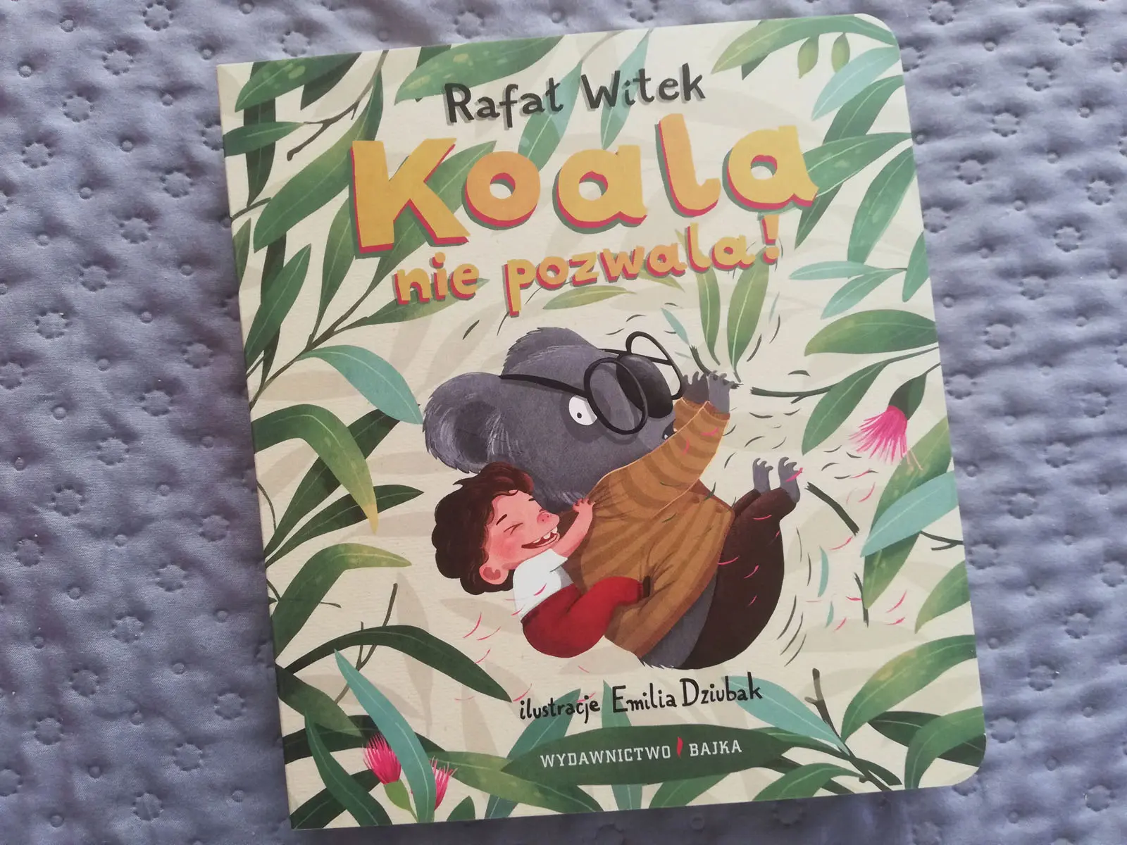 Koala nie pozwala