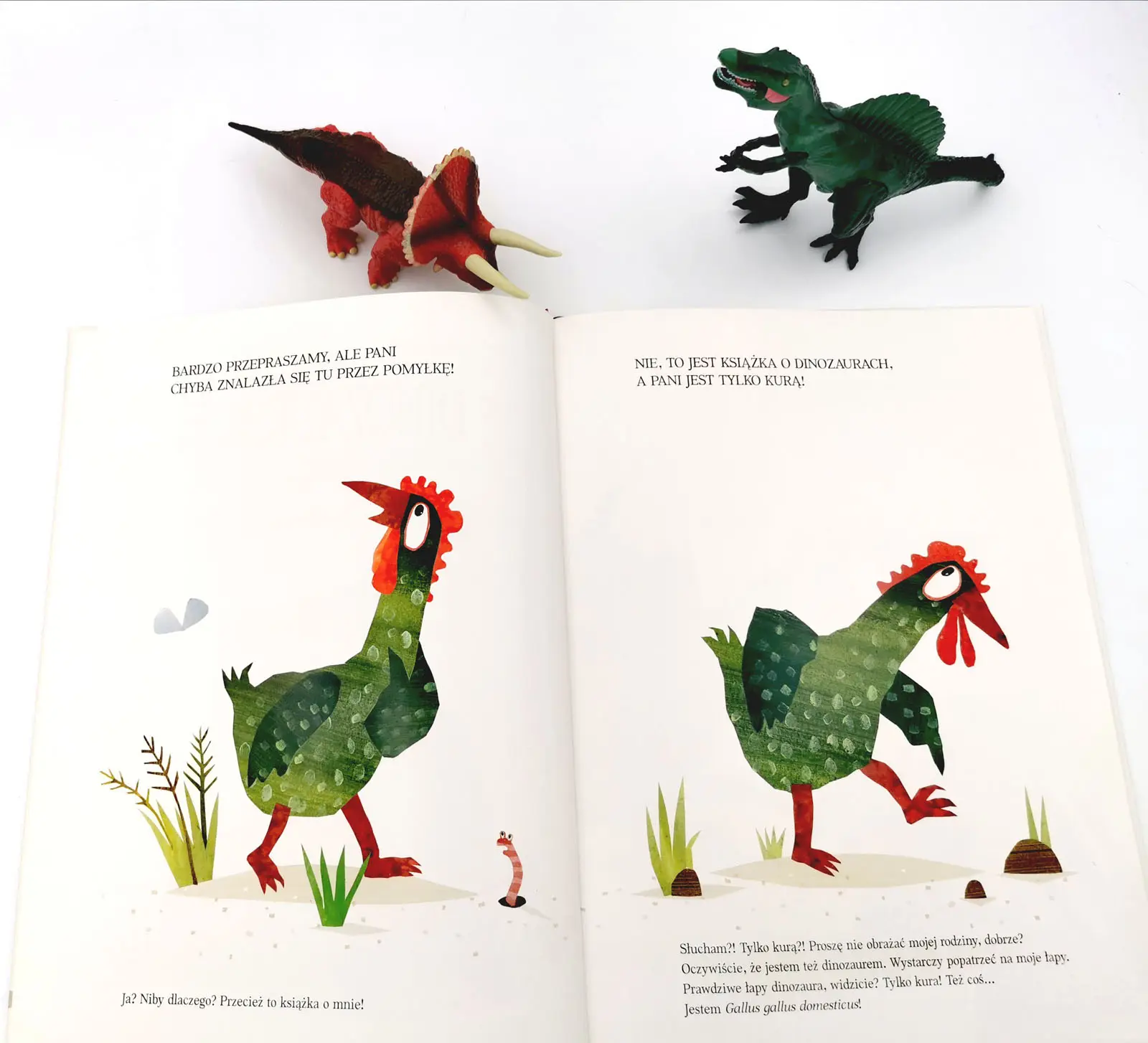 Dziobem, piórem i pazurem o Dinozaurach