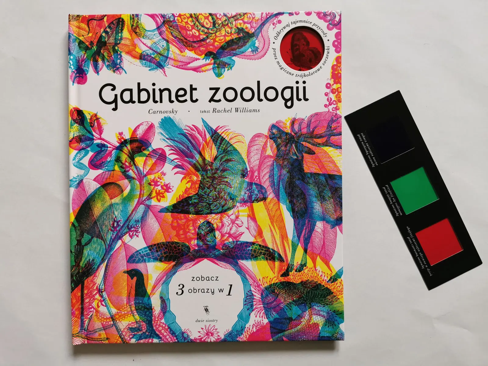 Gabinet zoologii