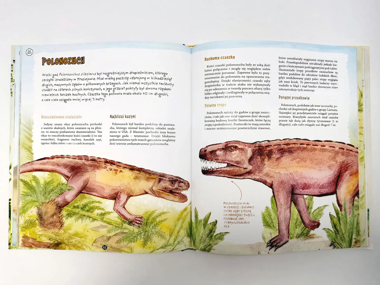 Gdy na Ziemi żyły dinozaury