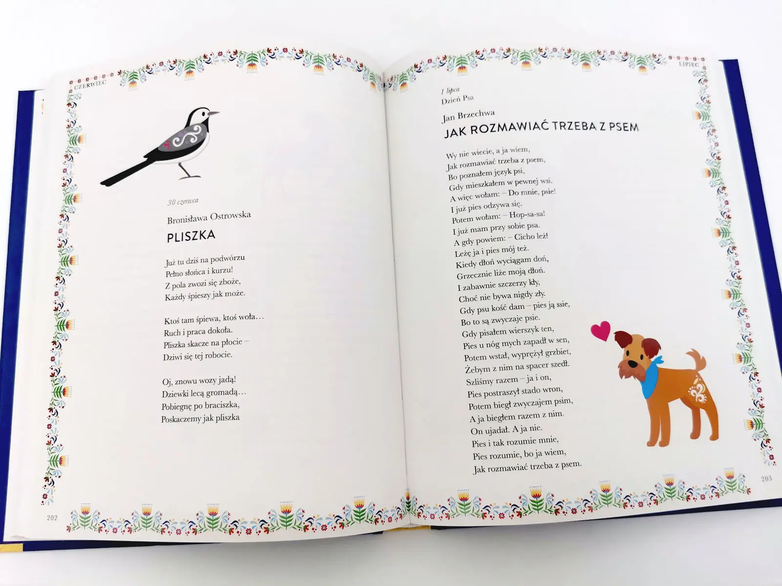 10 książek od wydawnictwa Wilga