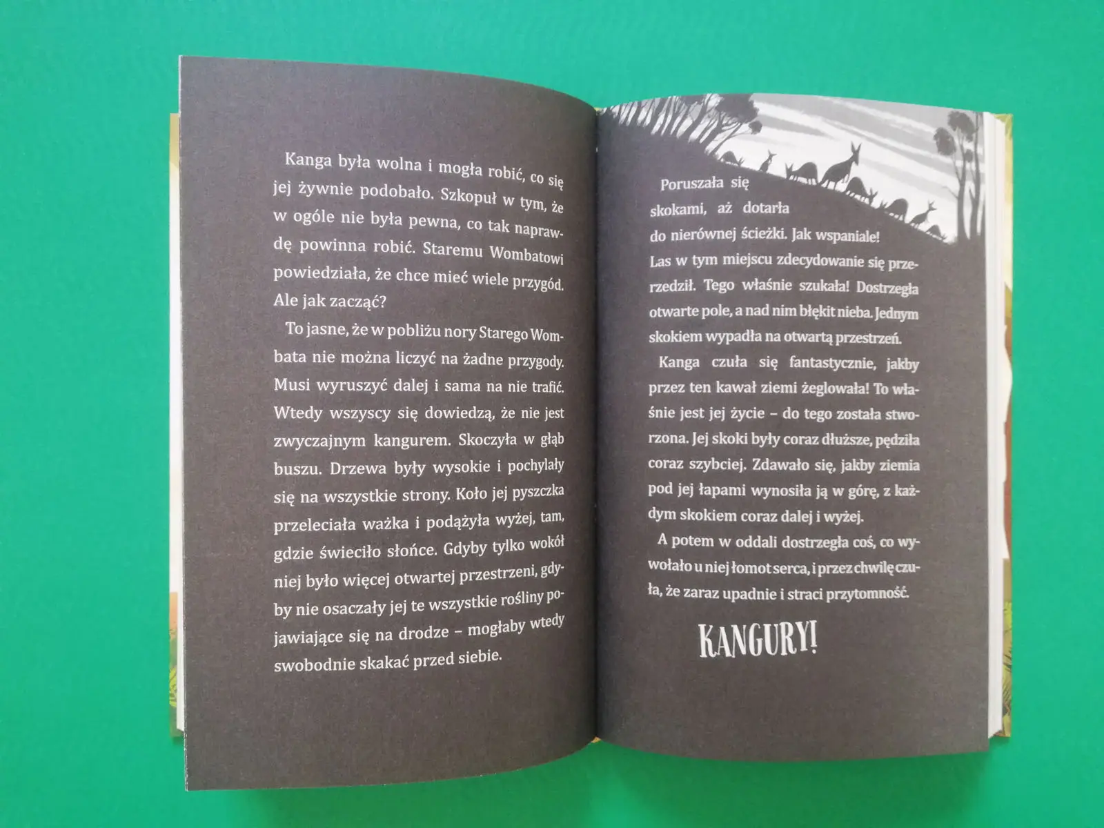 Kanga chce poznać inne Kangury