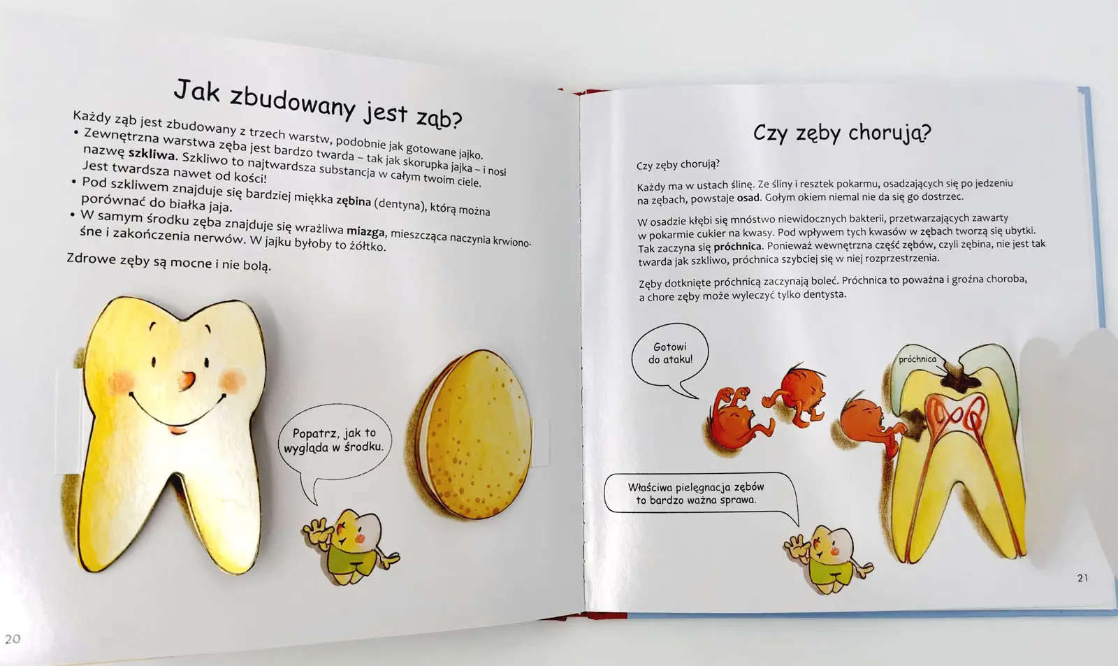 Moje zęby
