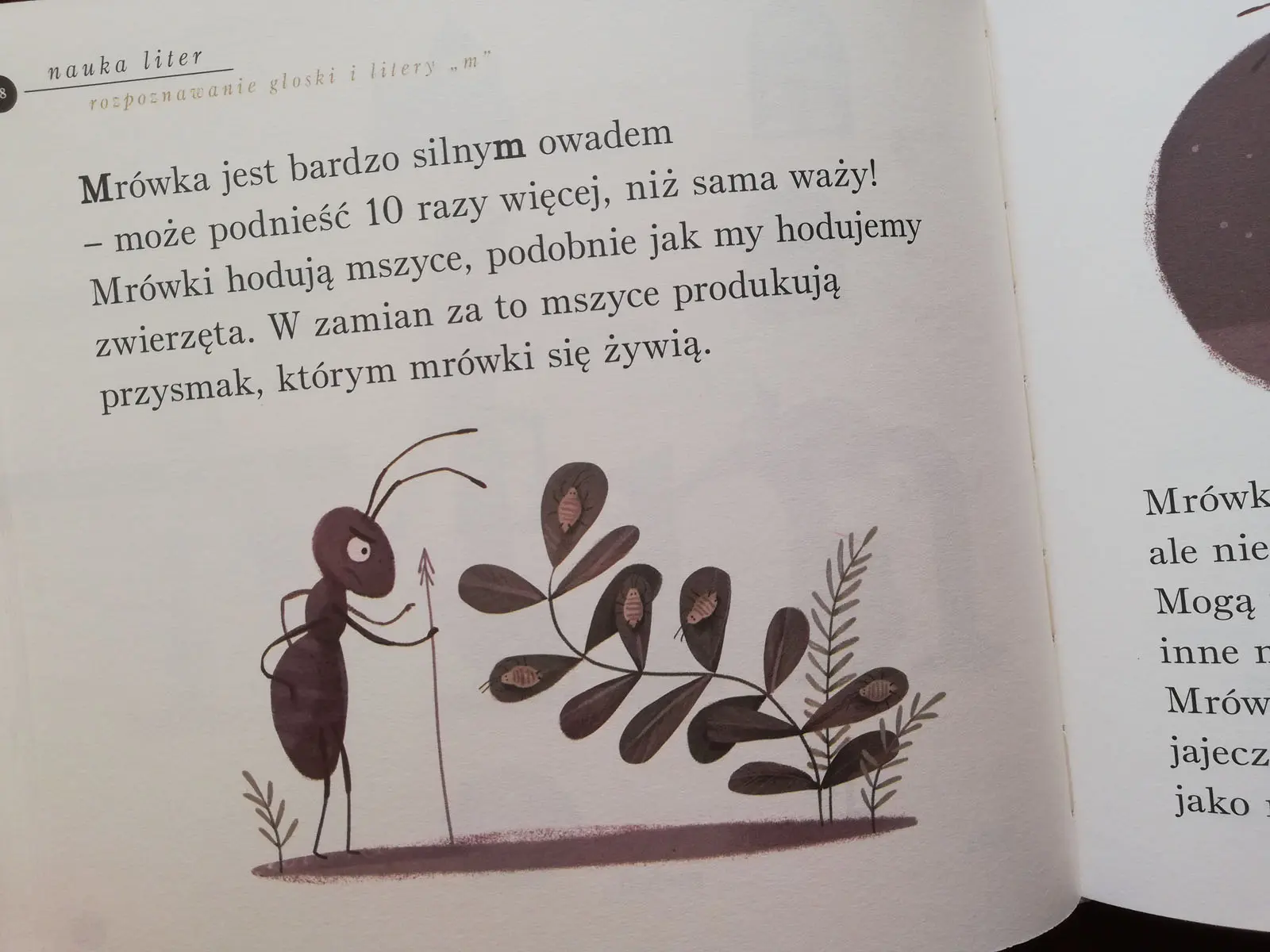 Nauka Czytania