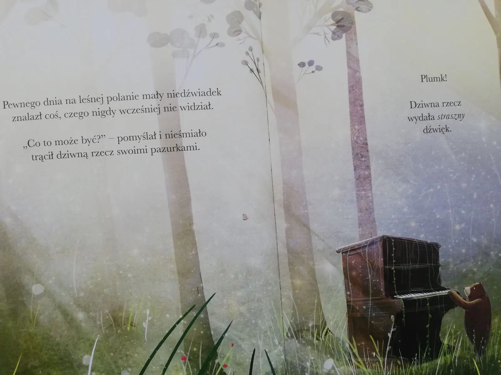 niedźwiedź i pianino