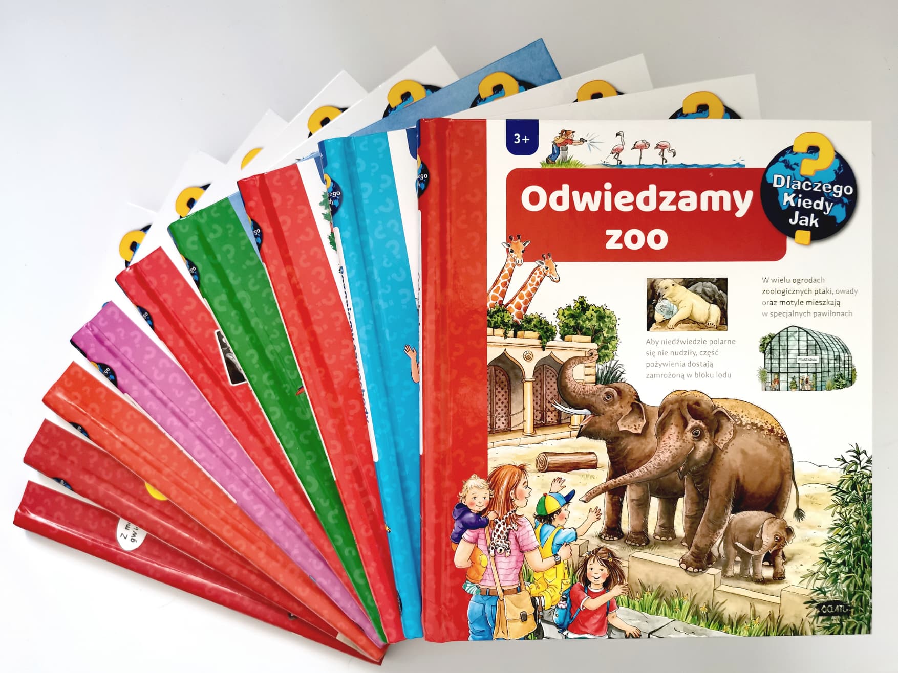 Odwiedzamy zoo - recenzja książki z okienkami z serii Dlaczego? Kiedy? Jak? (patronat)