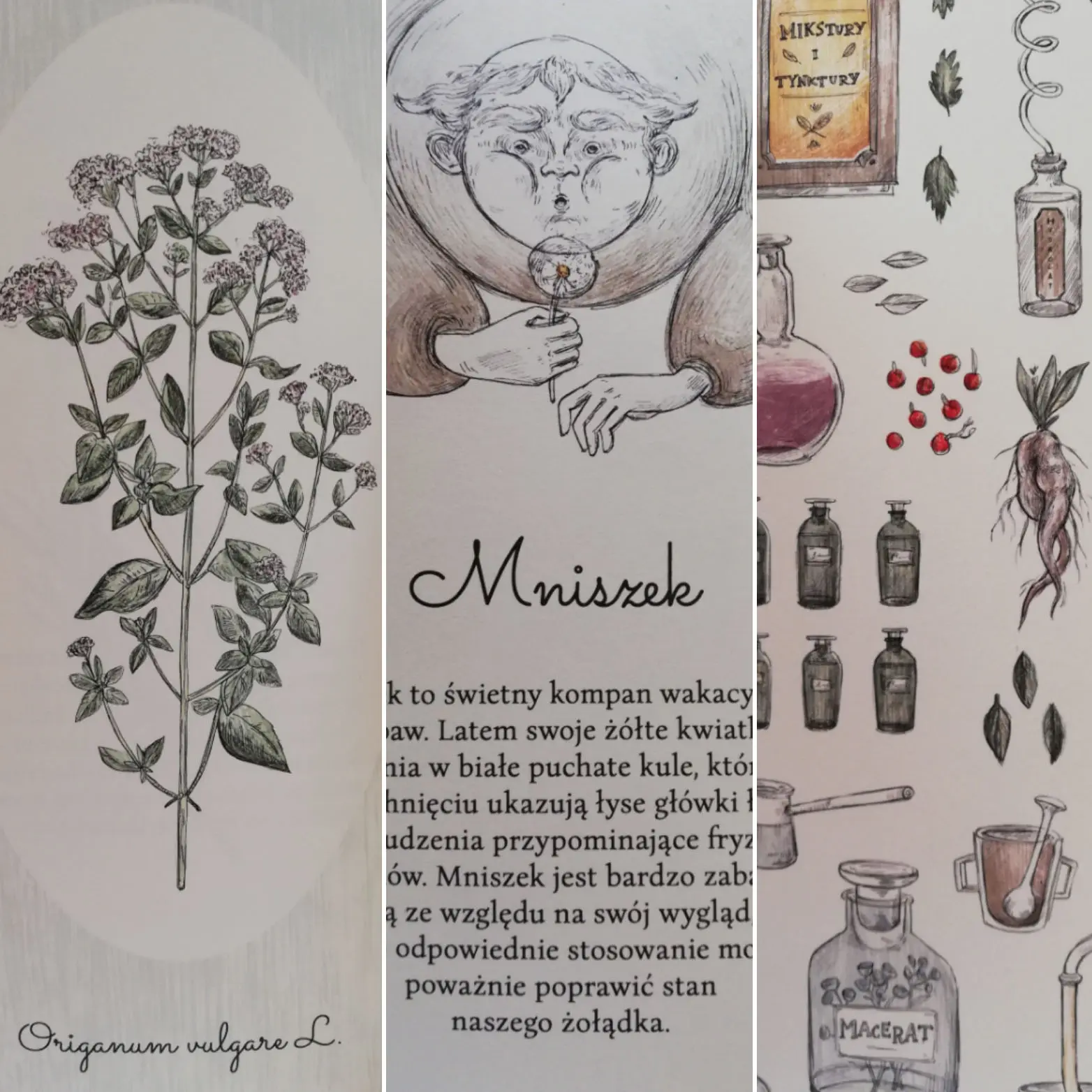 ilustracje