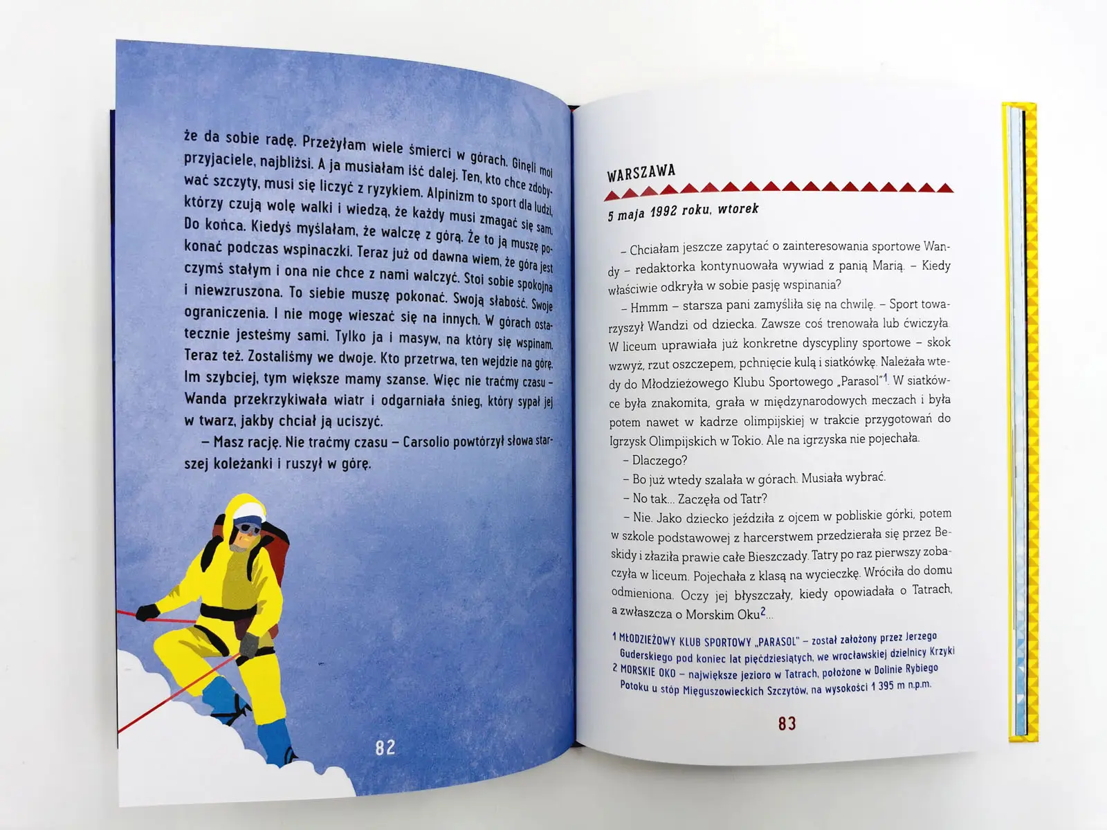 Pięć skarbów pod wielkim śniegiem. Opowieść o Wandzie Rutkiewicz