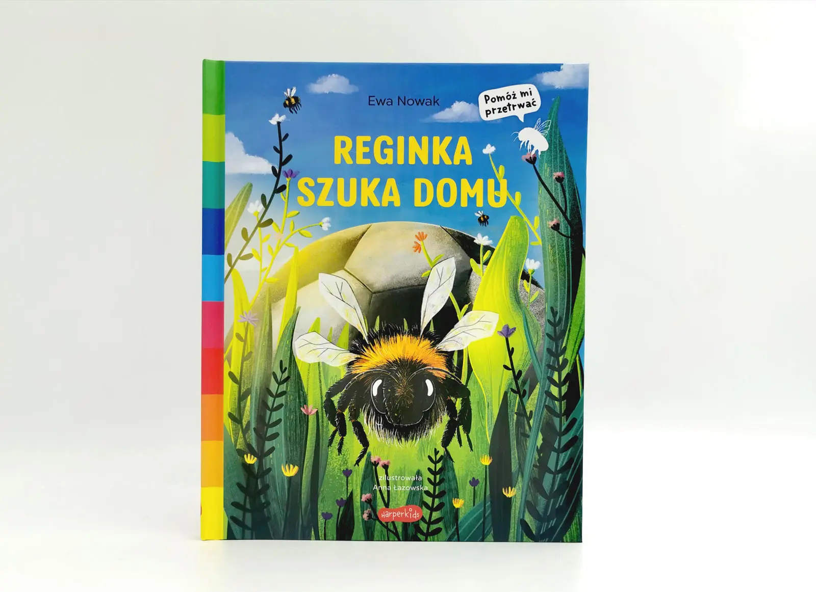 Reginka szuka domu