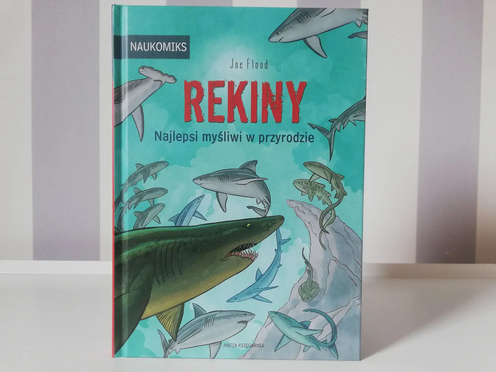 rekiny