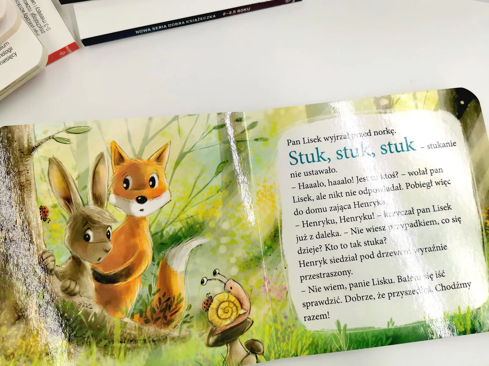 Seria dobra książeczka