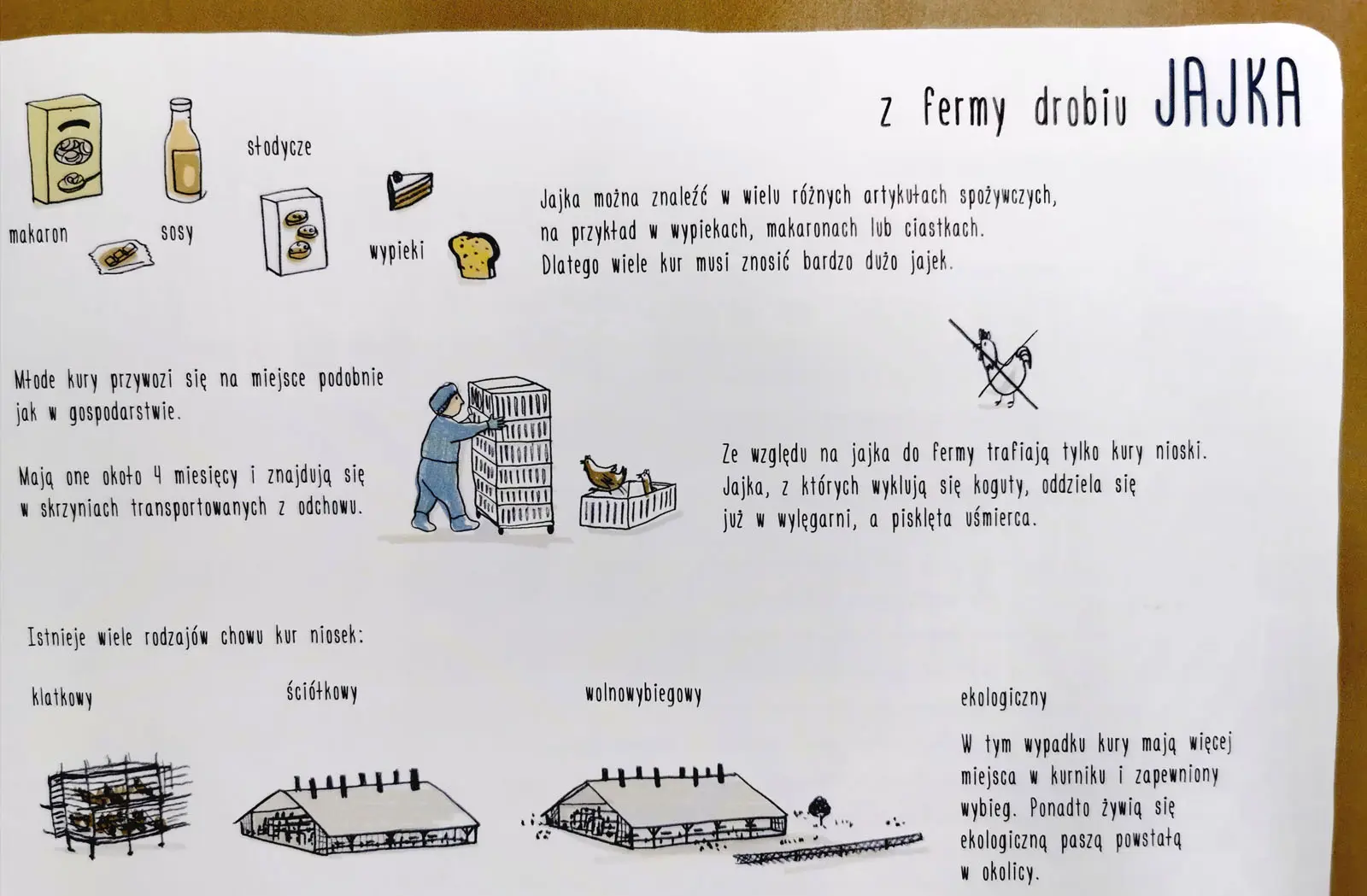 Skąd pochodzi nasze jedzenie?