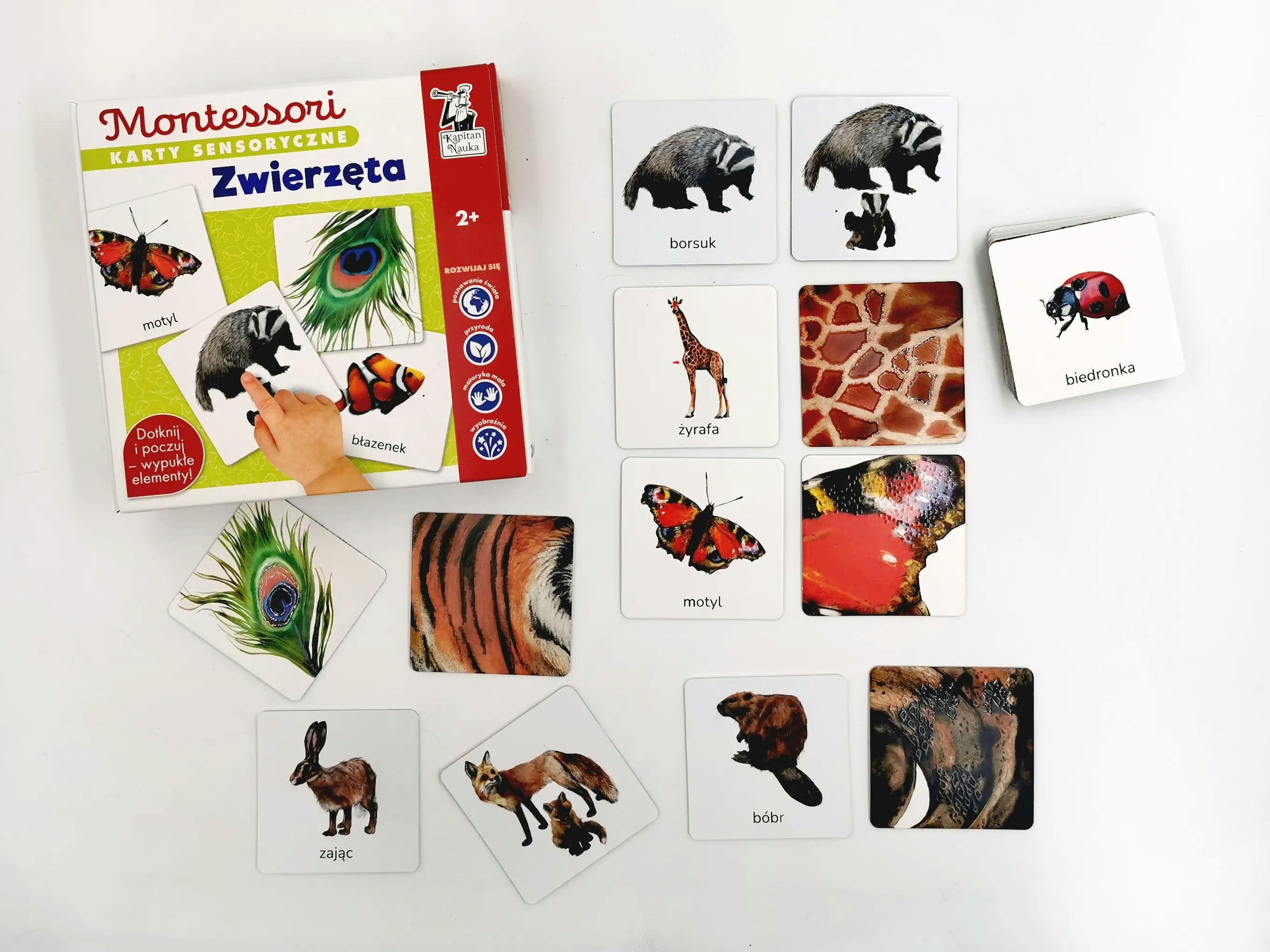 karty Montessori Zwierzęta