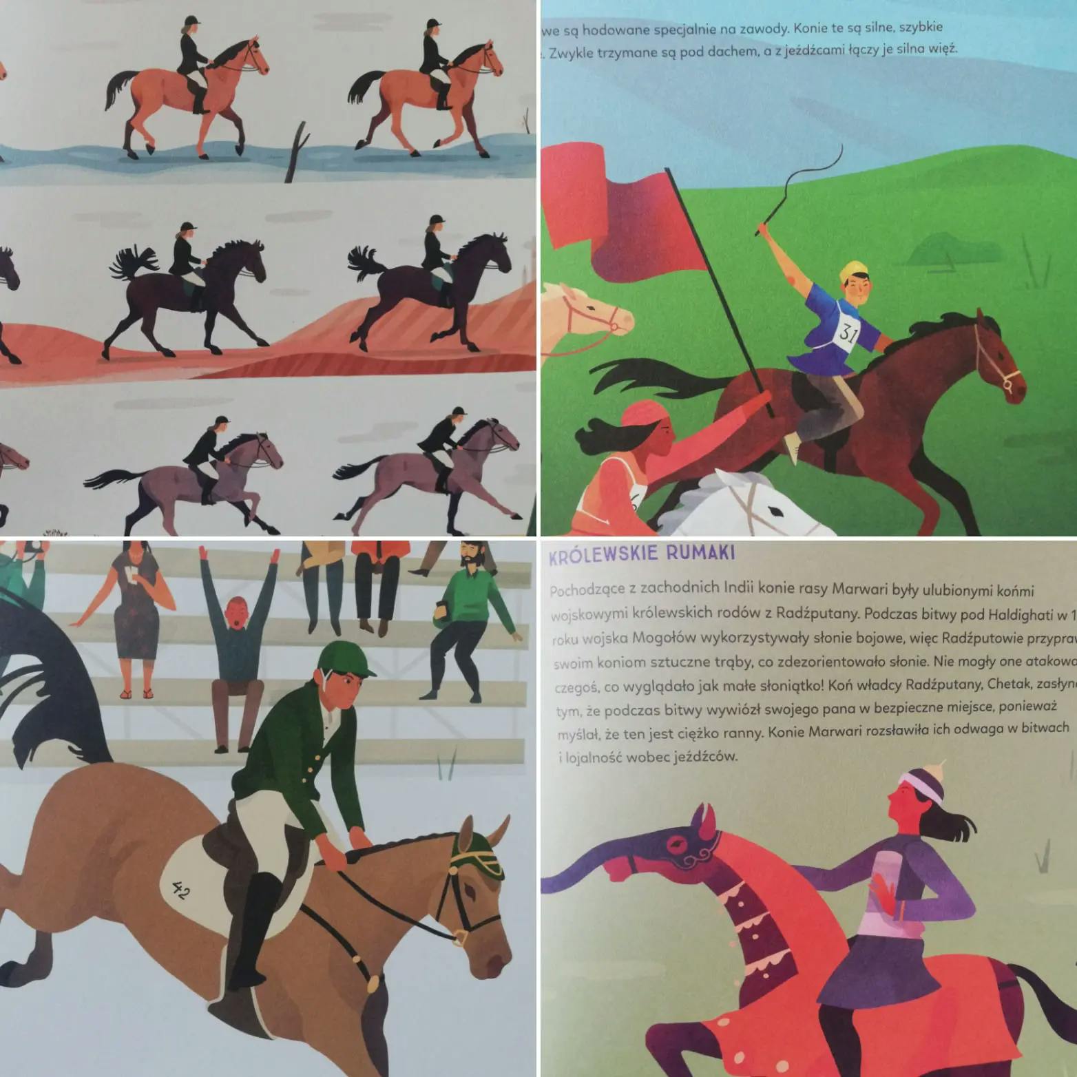 Konie ilustracje