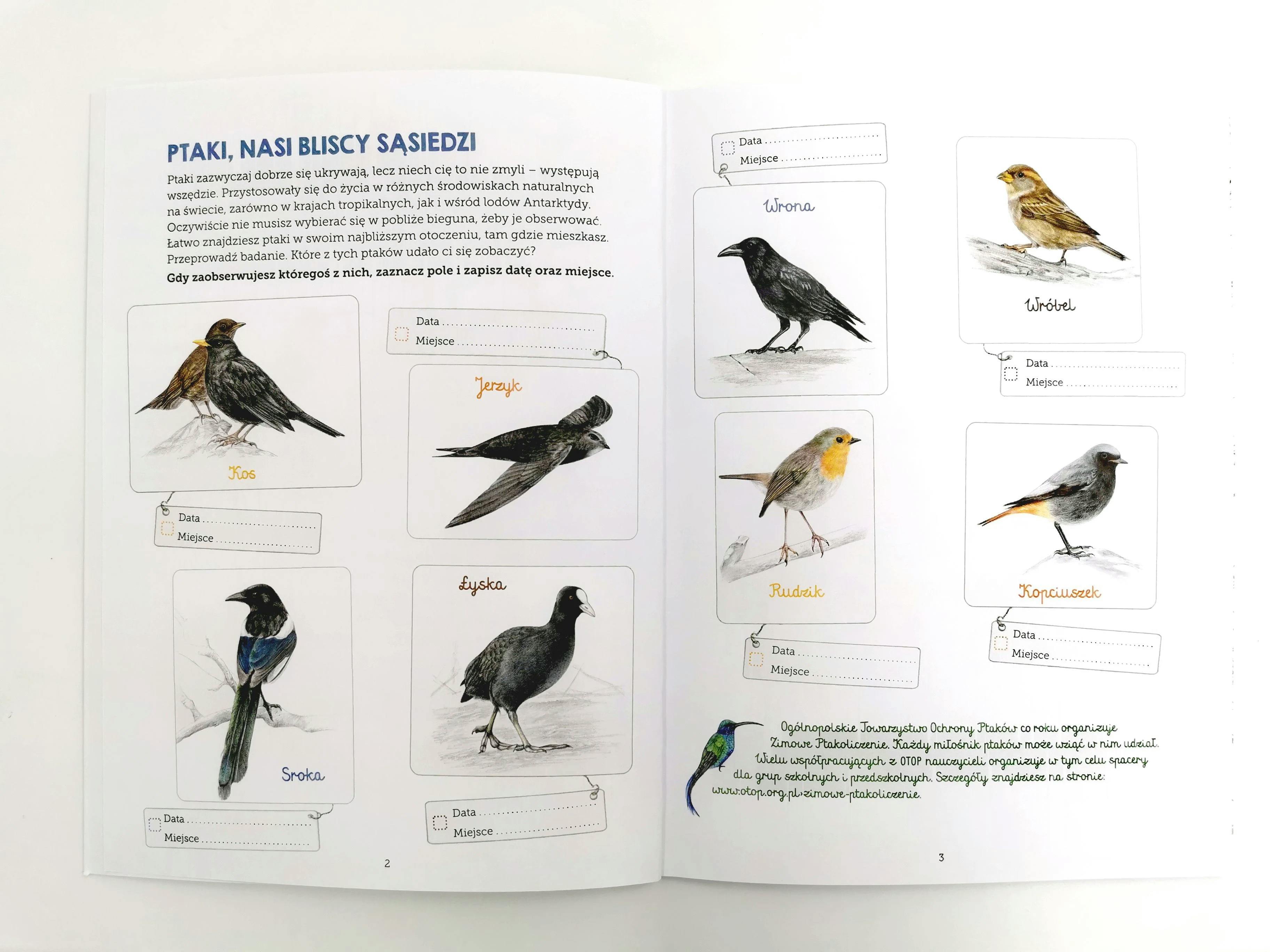 Mój zeszyt obserwacji przyrodniczych. Ptaki